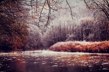 Winter op de rivier van Dirk Wüstenhagen