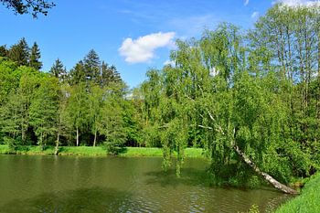 Frühling am Erlensee