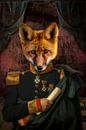 The Fox van Marja van den Hurk thumbnail