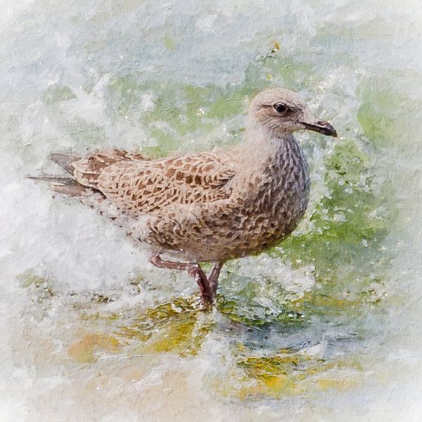 Juveniele zilvermeeuw (schilderij) van Art by Jeronimo