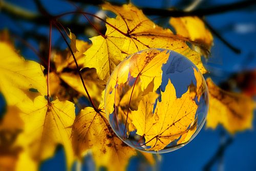 In de glazen bal - herfstbladeren