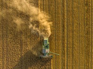 Mähdrescher bei der Weizenernte im Sommer aus der Vogelperspektive