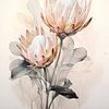 Élégance douce de Protea sur Lin's Visions