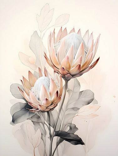 Zachte Protea Elegance