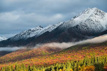 Denali Highway Views – Herfstkleuren en Besneeuwde Bergen van José IJedema