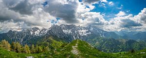 Blick auf das Grintovec-Gebirge von Goli vrh aus