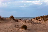 Zand en zee. van Ulbe Spaans thumbnail