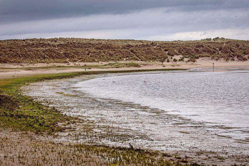 Nature reserve the Slufter on the island of Texel by Rob Boon