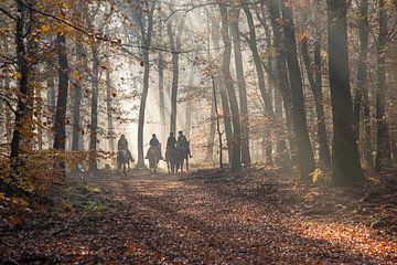 Paardrijden in een mistig bos van Barbara Brolsma