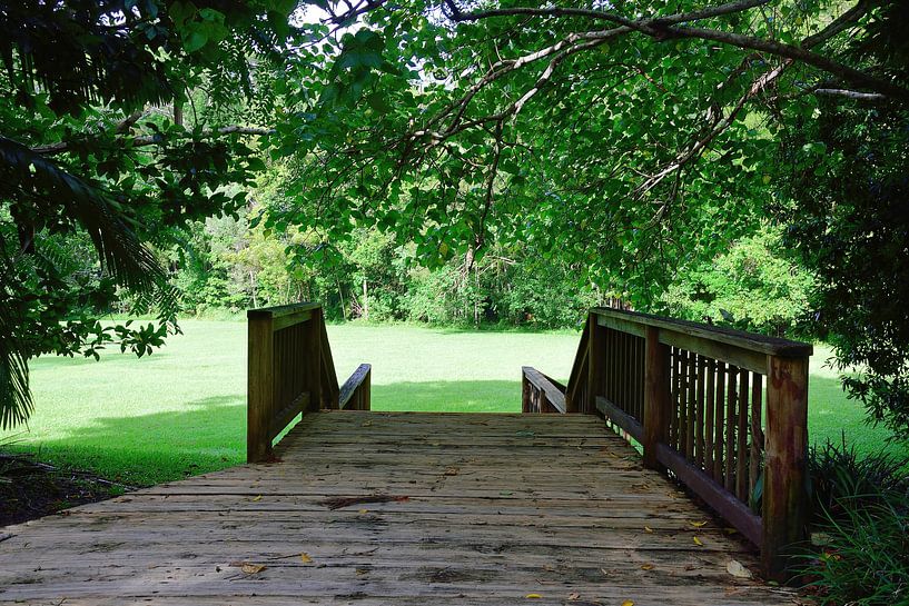 Arrived at Buderim Forest Park by Frank's Awesome Travels
