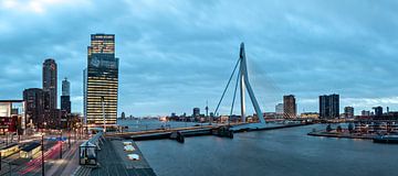Lookout over the Erasmus Bridge and Wilhelminaplein '2' van Midi010 Fotografie