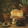 Henriëtte Ronner-Knip - Chatons en train de jouer sur Peter Balan