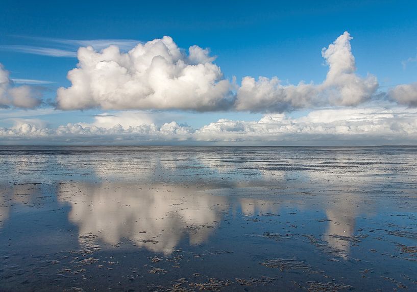 Het wad bij Moddergat par Fonger de Vlas