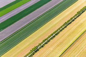 Niederlande, Leinen im Beemster Polder. Luftaufnahme.