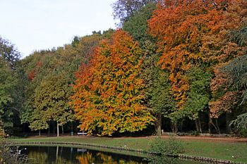 Herbst im Park von Grimbergen