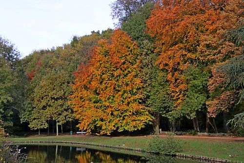 herfst in het Park van Grimbergen