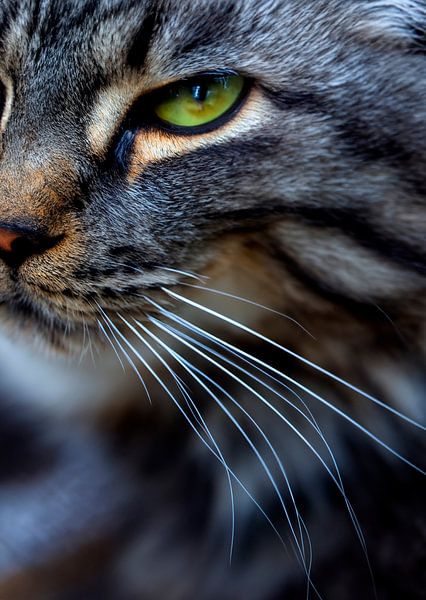 Chat par Artforyou  werk van Henk Adriani