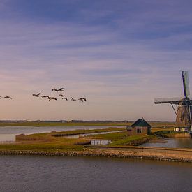 Vieux moulin sur l'île de Texel sur Friedhelm Peters