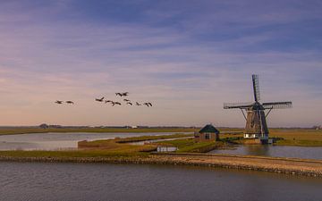 Vieux moulin sur l'île de Texel sur Friedhelm Peters