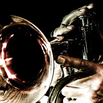 Cornetplayer