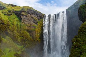 Skogafoss : violence de l'eau et mousse verte