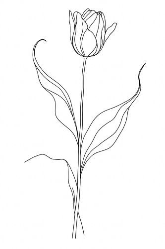 Tulpe, minimalistisch von Ans Bastiaanssen