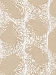 Lignes organiques en beige