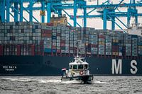 Rotterdam Haven