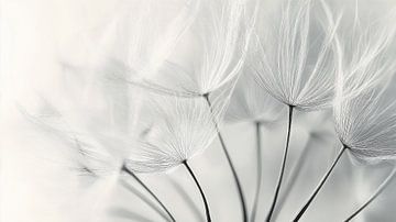 Pluizige Paardenbloem van Studio BB