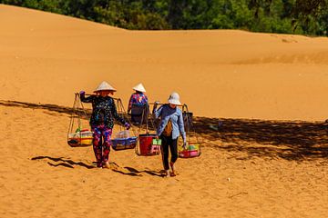 De zandduinen van Mui Ne in Vietnam van Roland Brack