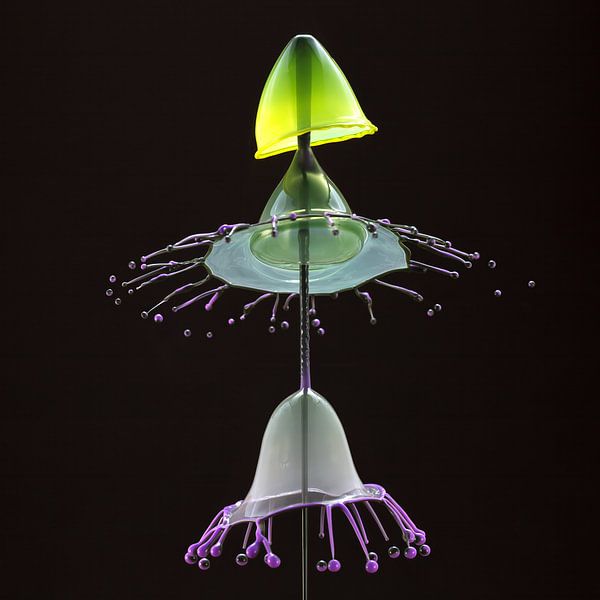 Purple triangle due to high-speed water drops by Rob Kempers