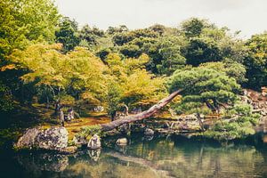 Japanese Garden II von Pascal Deckarm