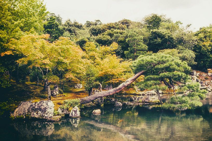 Japanse Tuin II van Pascal Deckarm