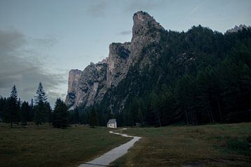 Lijnen van de Alpen van Sebastian Stef