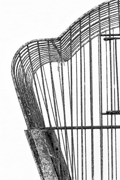 Abbildung eines Ausschnitts eines Brocante-Vogelkäfigs in Schwarz-Weiß. von Therese Brals