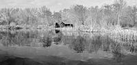 zwart-wit foto van een meer in de winter, kralingse bos,