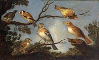 Vogels op de takken van een boom, Jan Van Kessel de Oude van Meesterlijcke Meesters thumbnail