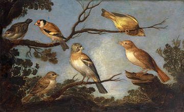 Vogels op de takken van een boom, Jan Van Kessel de Oude