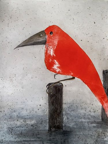 Oiseau rouge