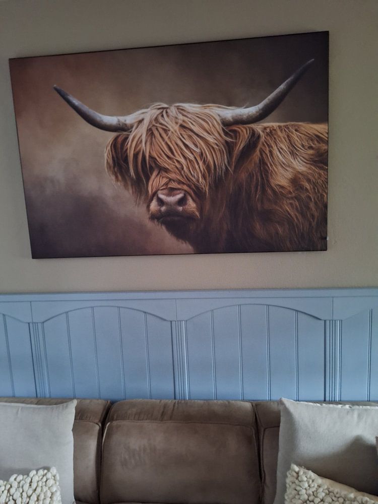 Scottish Highland Cow Portret  by Diana van Tankeren 