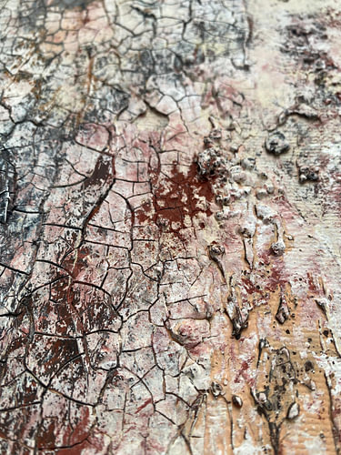 Cracked Earthy Texture