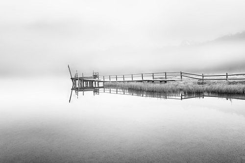 Gentle landscape by the lake in black and white by Manfred Voss, Black-White Photography