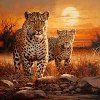 Leopard in savannah