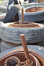 Wielen en Roest van Moats Design thumbnail