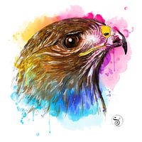 Falcon
