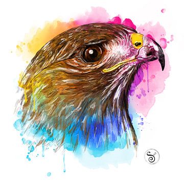 Falcon by Sue Art studio