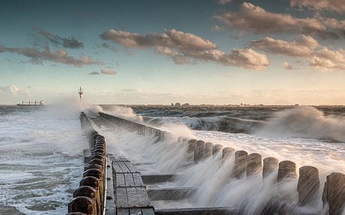 Vlissinger Ruderer-Kopf