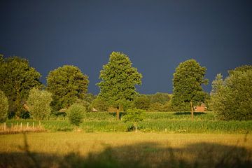 Na regen komst zonneschijn by Jan Nuboer