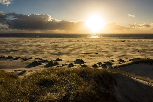 Landschaft mit Dünen auf der Insel Amrum