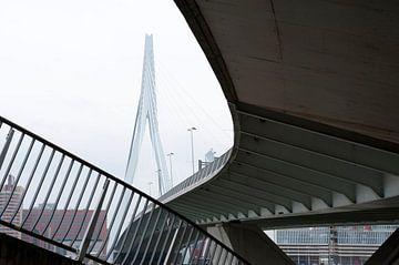 Erasmusbrug
